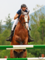 /album/fotogaleria-jazdecke-preteky-ii-cast-memorial-ing-z-bornemiszu-tatranska-lomnica/a1d-l5220-png/
