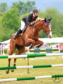 /album/fotogaleria-jazdecke-preteky-ii-cast-memorial-ing-z-bornemiszu-tatranska-lomnica/a1d-l5210-png/