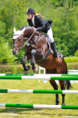/album/fotogaleria-jazdecke-preteky-ii-cast-memorial-ing-z-bornemiszu-tatranska-lomnica/a1d-l5027-png/