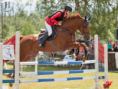 /album/fotogaleria-jazdecke-preteky-ii-cast-memorial-ing-z-bornemiszu-tatranska-lomnica/a1d-l4893-edit-png/