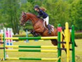 /album/fotogaleria-jazdecke-preteky-ii-cast-memorial-ing-z-bornemiszu-tatranska-lomnica/a1d-l5161pix-jpg/